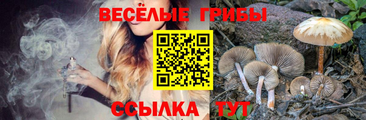 Сатка  Галлюциногенные грибы GOLDEN TEACHER  Вход с VPN 