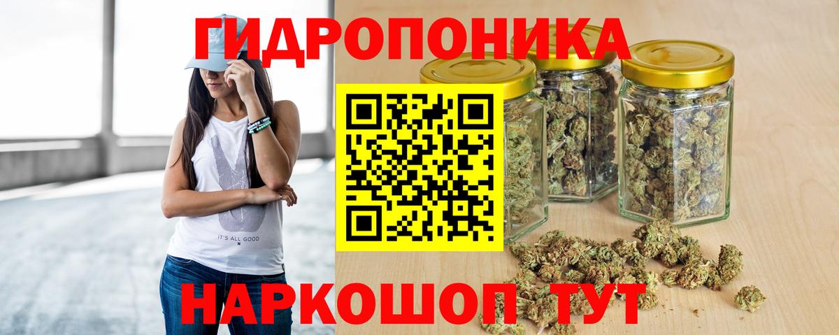 Конопля MAZAR Сатка